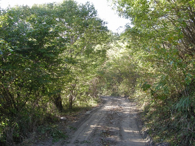 tyahazu003.jpg
