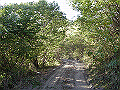 tyahazu003_thumb.png