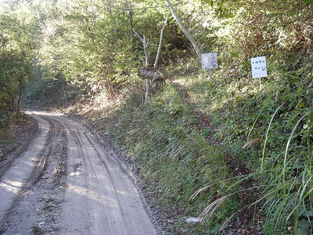 tyahazu004.jpg