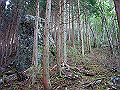 tyahazu006_thumb.png