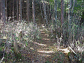 tyahazu007_thumb.png