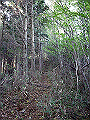tyahazu008_thumb.png