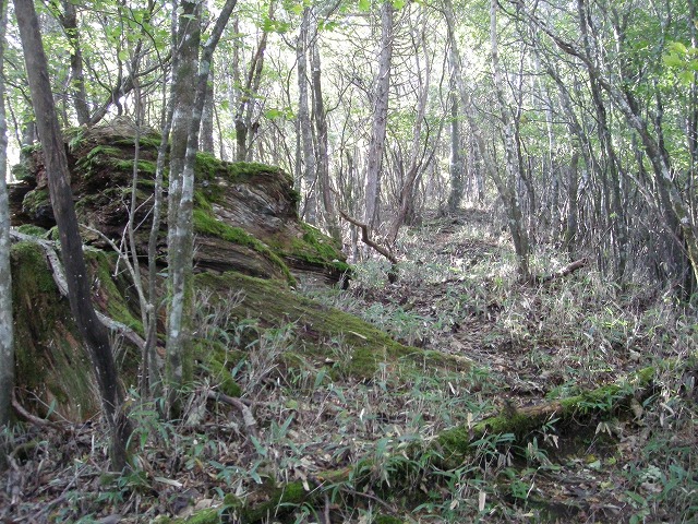 tyahazu010.jpg