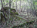 tyahazu010_thumb.png