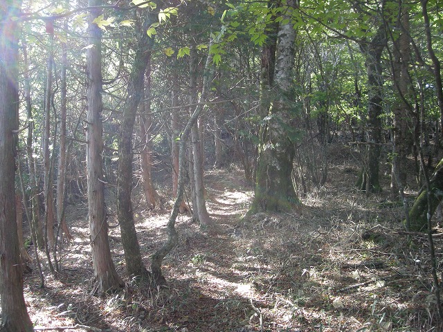 tyahazu011.jpg