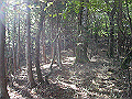 tyahazu011_thumb.png