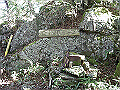 tyahazu013_thumb.png