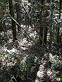 tyahazu014_thumb.png