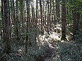 tyahazu015_thumb.png