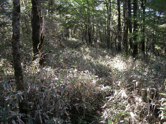 tyahazu016.jpg