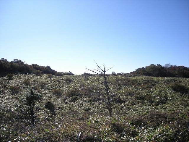 tyahazu018.jpg