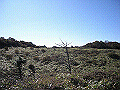tyahazu018_thumb.png