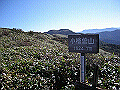 tyahazu021_thumb.png