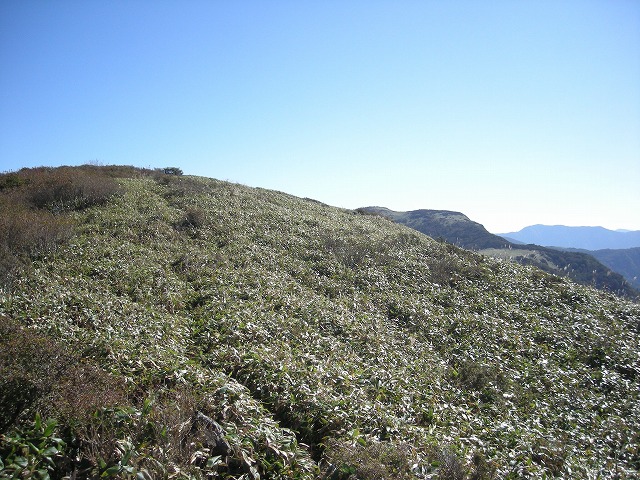 tyahazu023.jpg