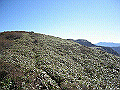 tyahazu023_thumb.png