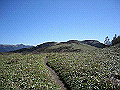 tyahazu027_thumb.png