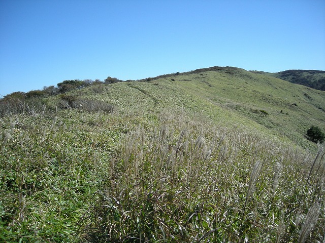 tyahazu029.jpg