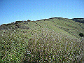 tyahazu029_thumb.png