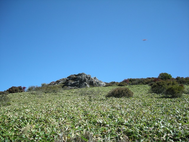 tyahazu032.jpg