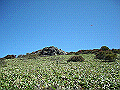 tyahazu032_thumb.png
