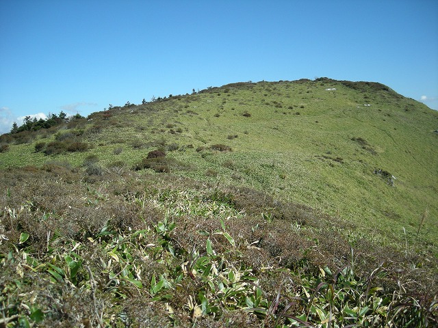 tyahazu034.jpg