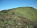 tyahazu034_thumb.png