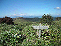 tyahazu035_thumb.png