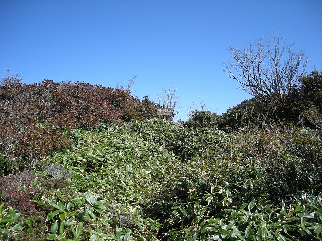 tyahazu036.jpg