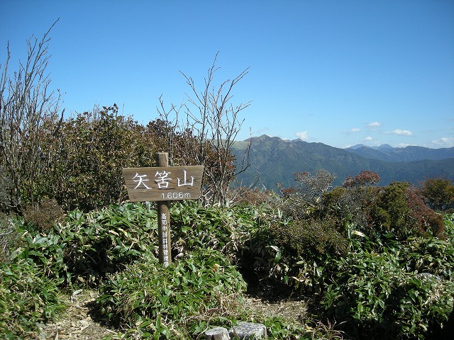 tyahazu037.jpg