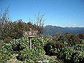 tyahazu037_thumb.png