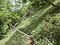 yahazu58_thumb.png