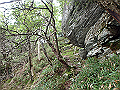 yahazu68_thumb.png
