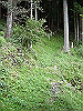 yatura04_thumb.png