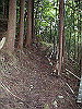 yatura05_thumb.png