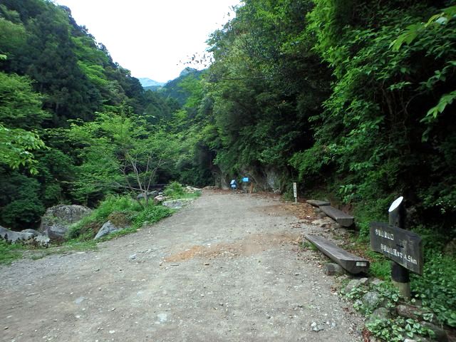 akabosi001.jpg
