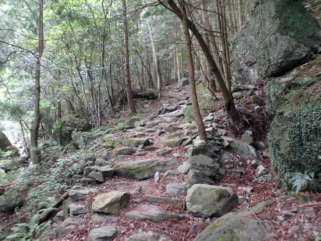 akabosi015.jpg