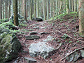 akabosi016_thumb.png