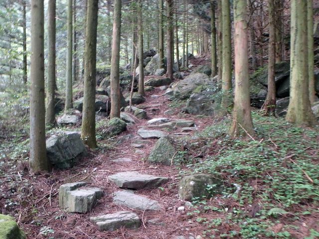akabosi019.jpg