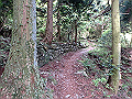 akabosi025_thumb.png