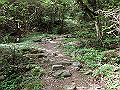 akabosi027_thumb.png
