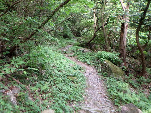 akabosi031.jpg