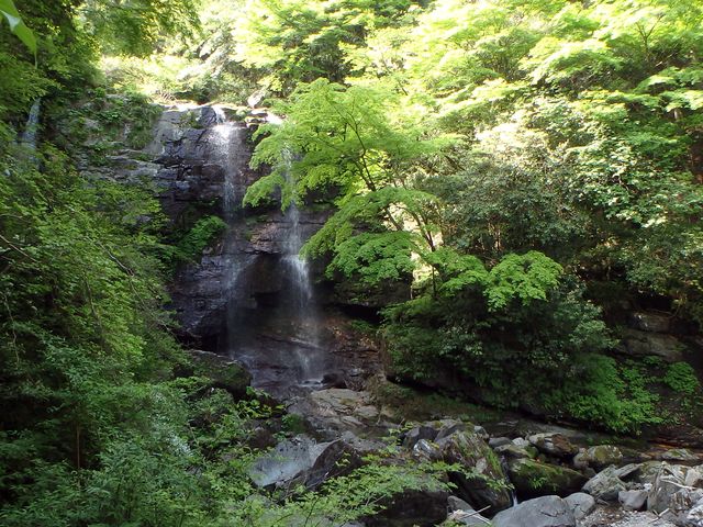 akabosi045.jpg