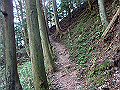 akabosi051_thumb.png