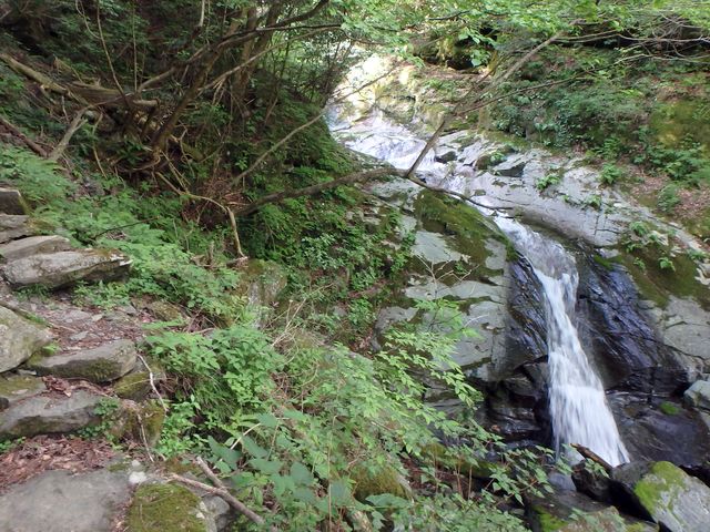 akabosi054.jpg