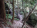 akabosi056_thumb.png