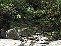 akabosi061_thumb.png