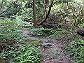 akabosi064_thumb.png