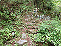 akabosi070_thumb.png