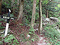 akabosi071_thumb.png