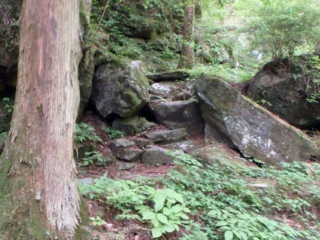 akabosi074.jpg